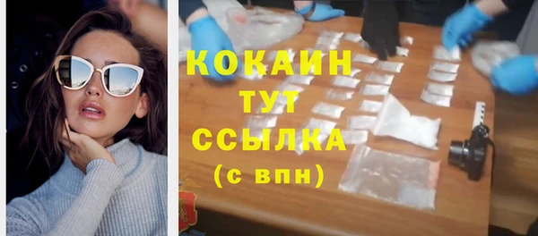 стаф Новодвинск