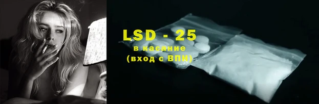 стаф Новодвинск