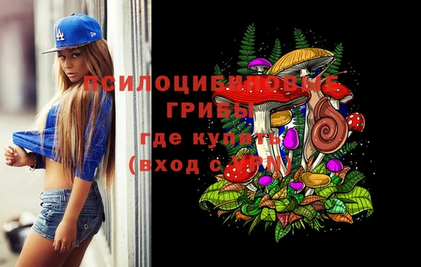 твердый Няндома