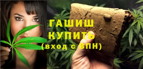 индика Богородицк