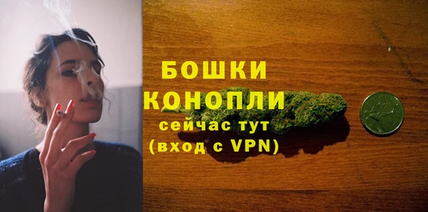2c-b Бородино