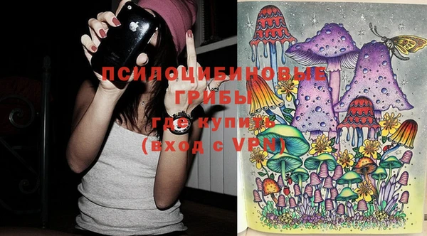 стаф Новодвинск