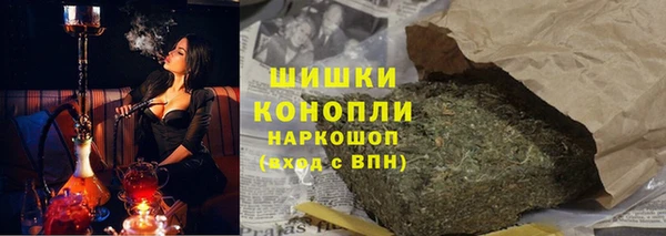 стаф Новодвинск