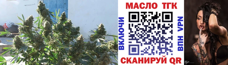 наркота  Короча  Дистиллят ТГК вейп 