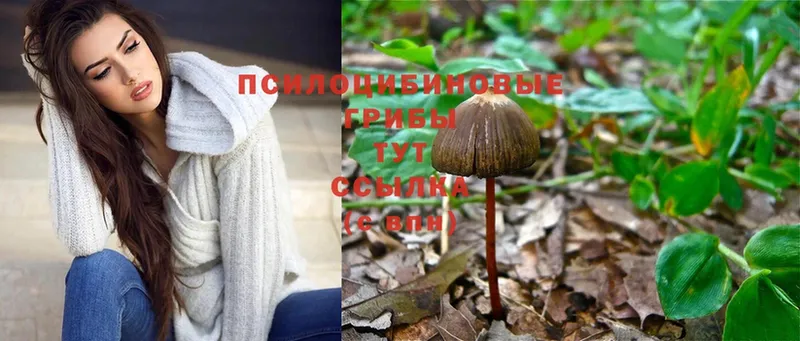 наркота  ОМГ ОМГ рабочий сайт  Галлюциногенные грибы Cubensis  Короча 