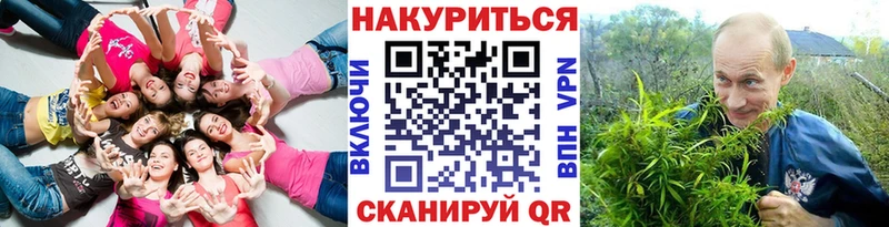 darknet Telegram Короча Канабис гибрид
